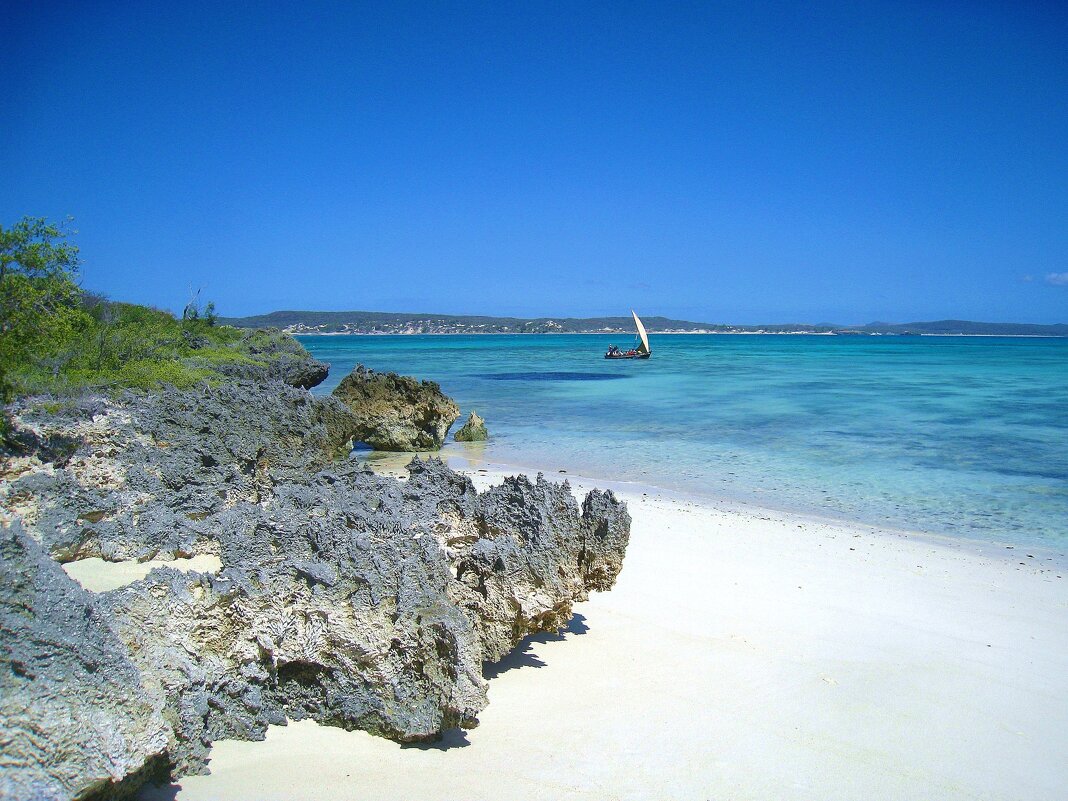 Кусочек Мадагаскара. - unix (Илья Утропов)