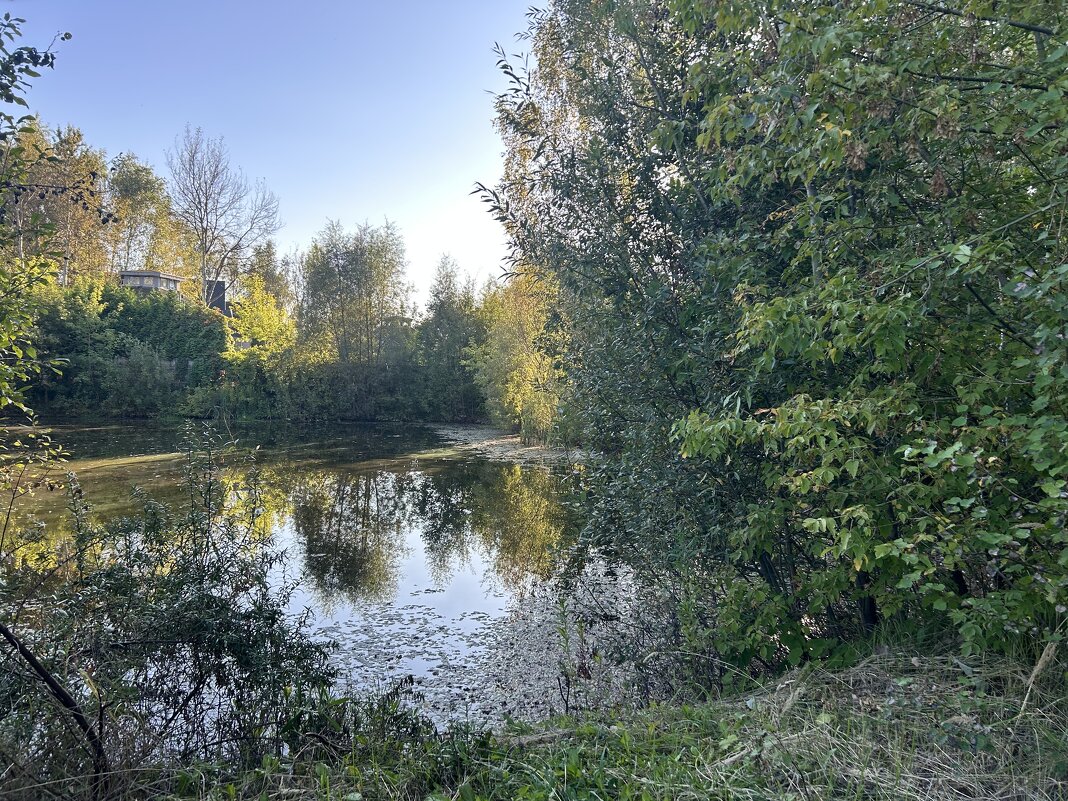 Пожарный пруд - Светлана Ященко