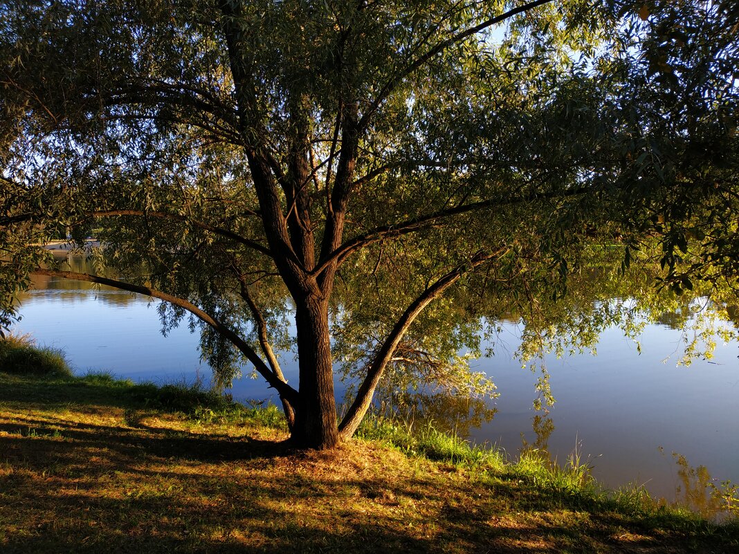 Бабье лето на Терлецких прудах - Андрей Лукьянов