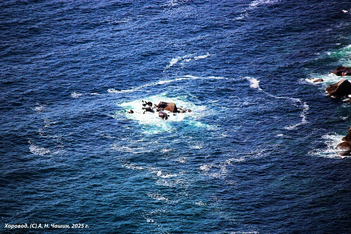 Хоровод - Александр Чашин