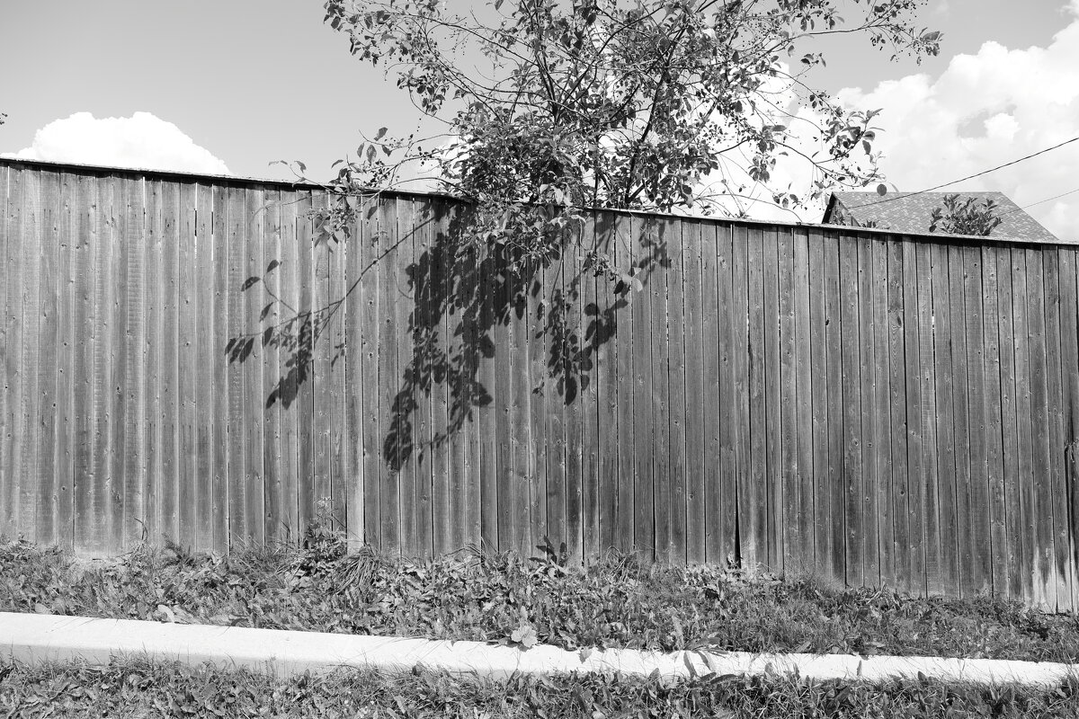 ... - Денис Безногов