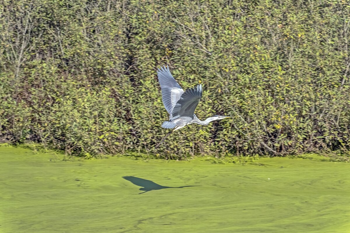 Пора лететь в Крым - Валерий Иванович Пора лететь в Крым - Валерий Иванович