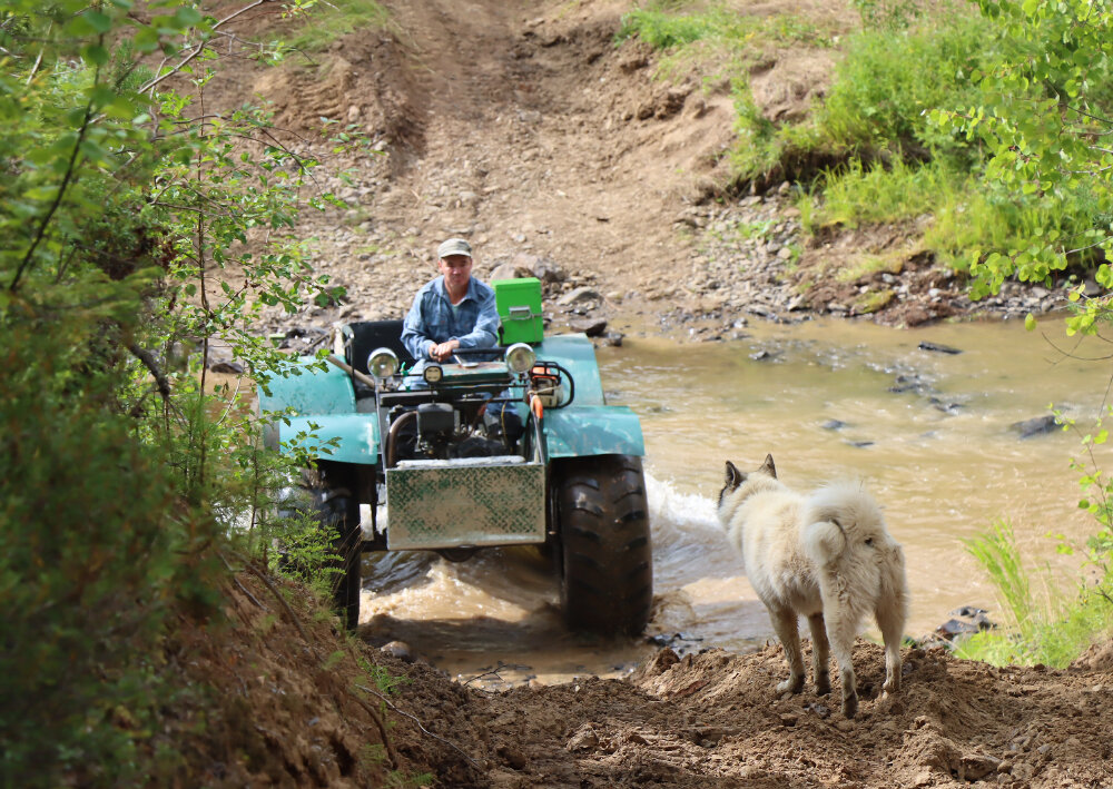 Ну долго тебя ещё ждать? - Галина Ильясова