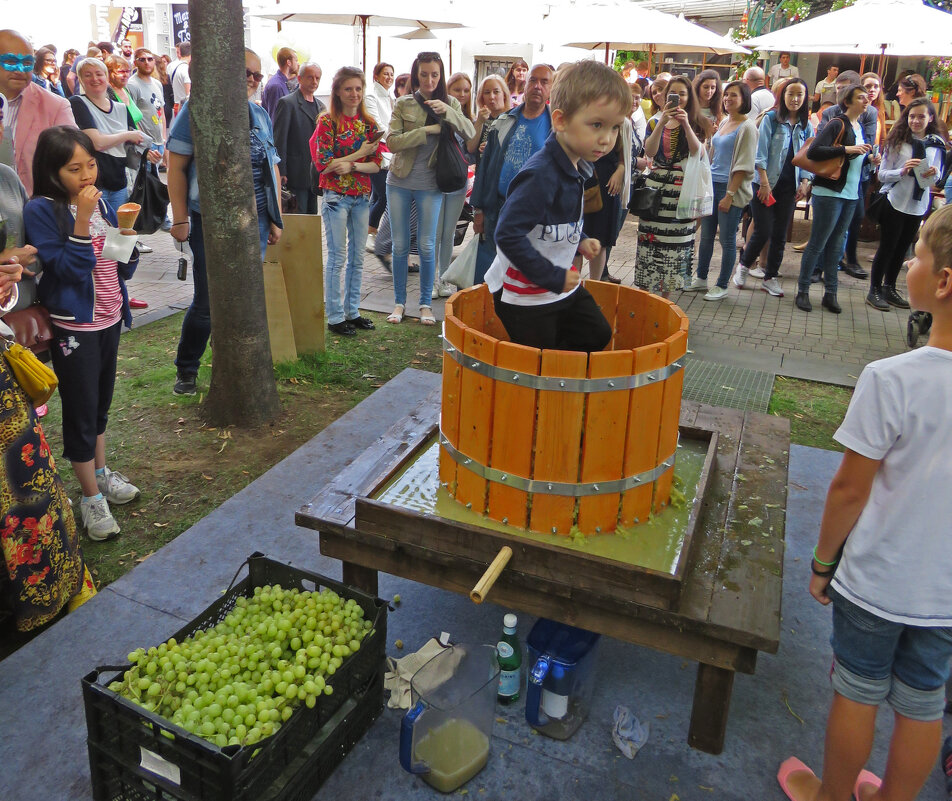 юный виноградарь - ИРЭН@ .