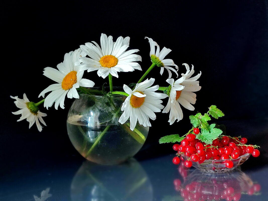 Лето быстро полетело - Валентина Богатко Лето быстро полетело - Валентина Богатко