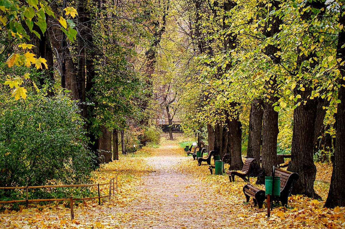 Дождь прошёл , сразу посветлело,,,) - Анатолий Колосов