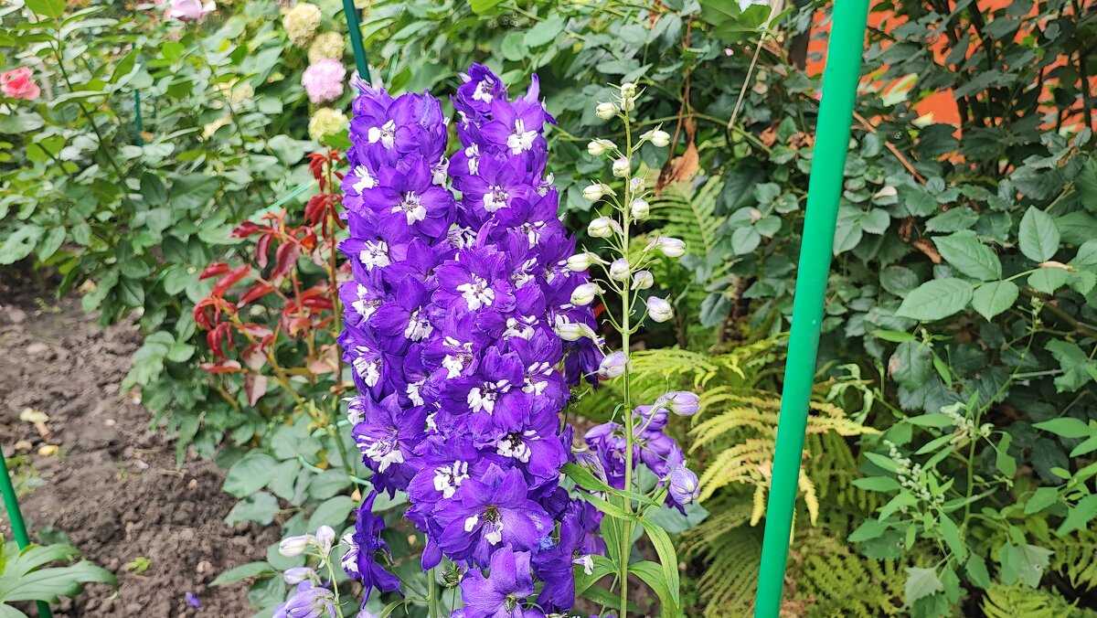 ,,, - Сергей Тимоновский