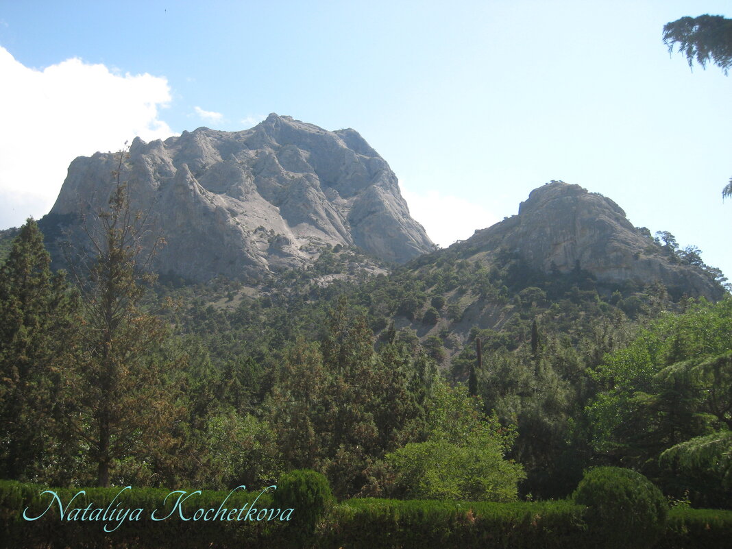 Природа Крыма - Amazing Cosmea