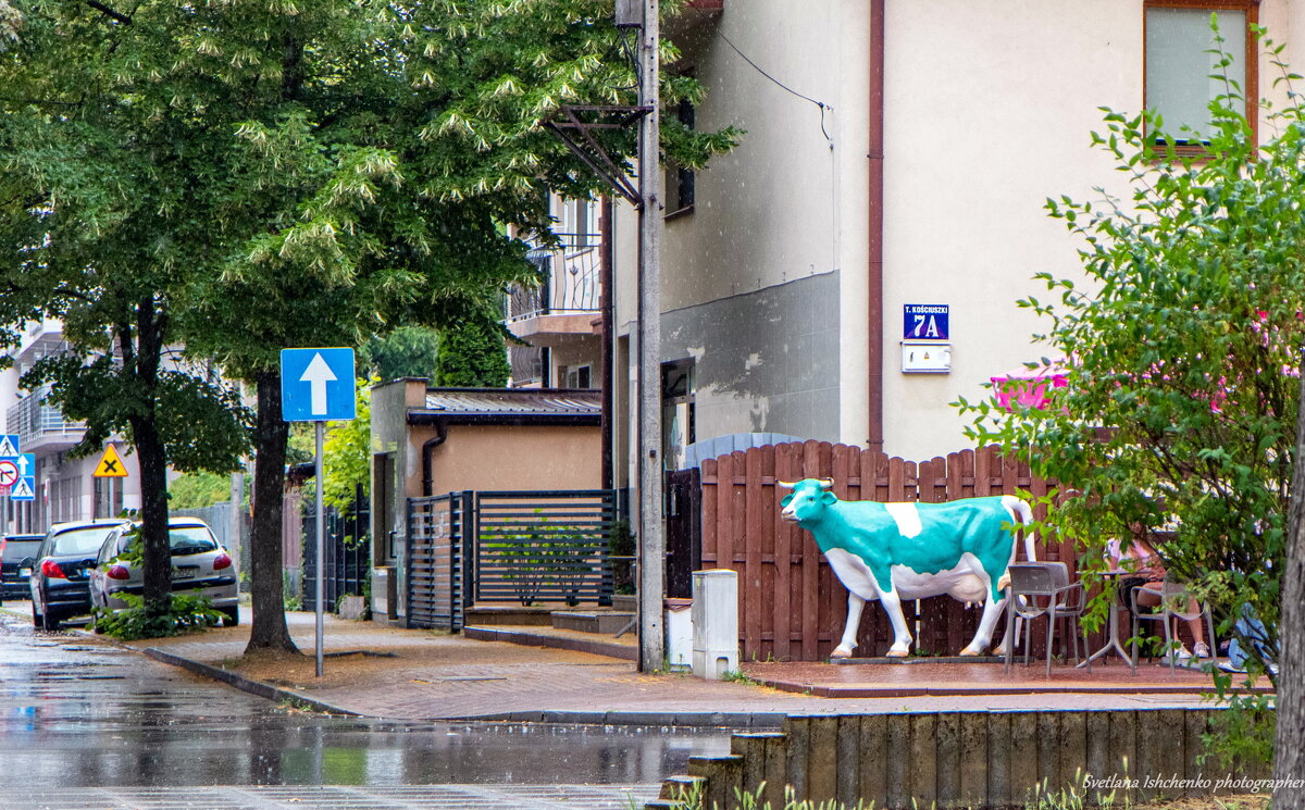 Новы Двур Мазовецки - Светлана Ищенко