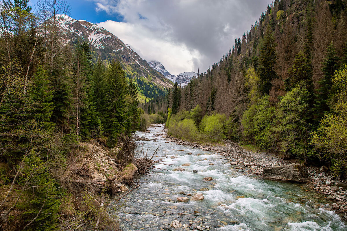 Гоначхирское ущелье, Тебердинский заповедник, Домбай. - Дина Евсеева