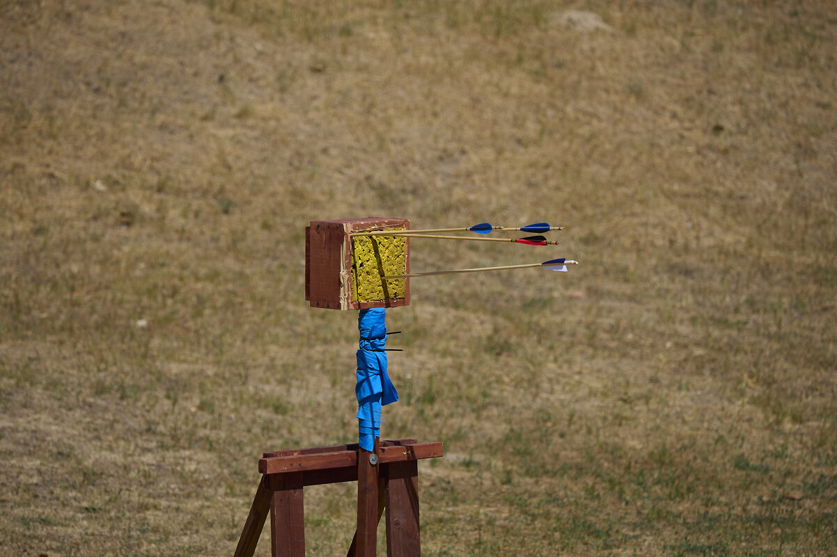 Мишень - Александр Посошенко