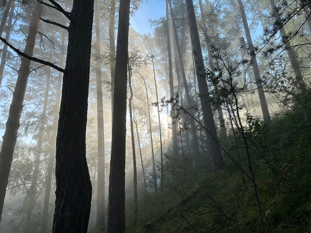 утро - Николай Шерстнев