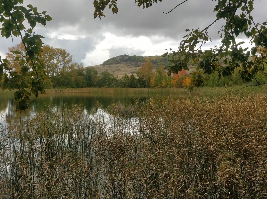 Озёрная тишина - Андрей Хлопонин