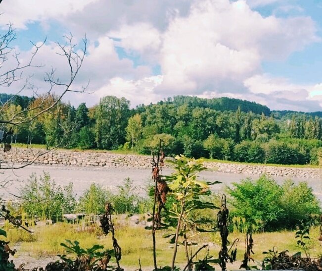 Грузия - Георгиевич Грузия - Георгиевич