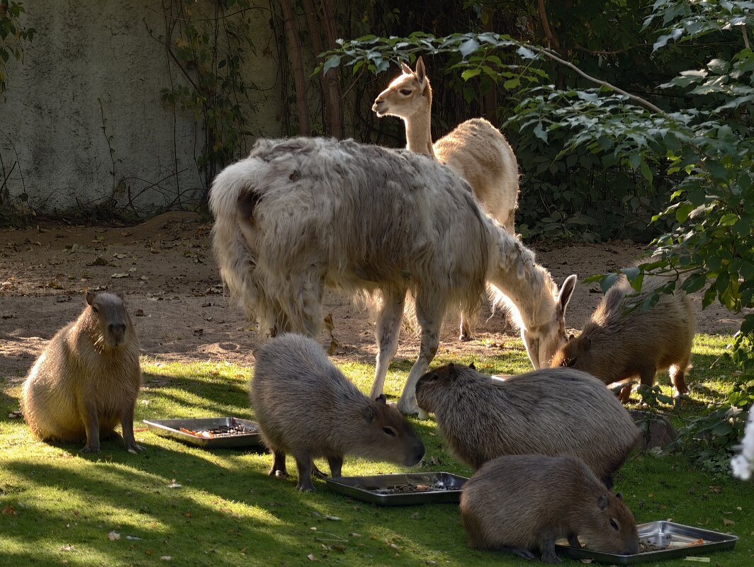 Дружная семейка - <<< Наташа >>>