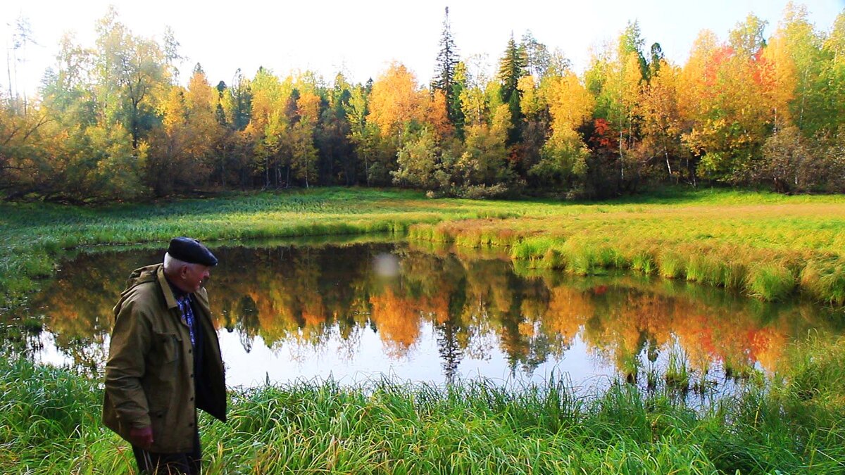 А здесь караси водятся? - Владимир 