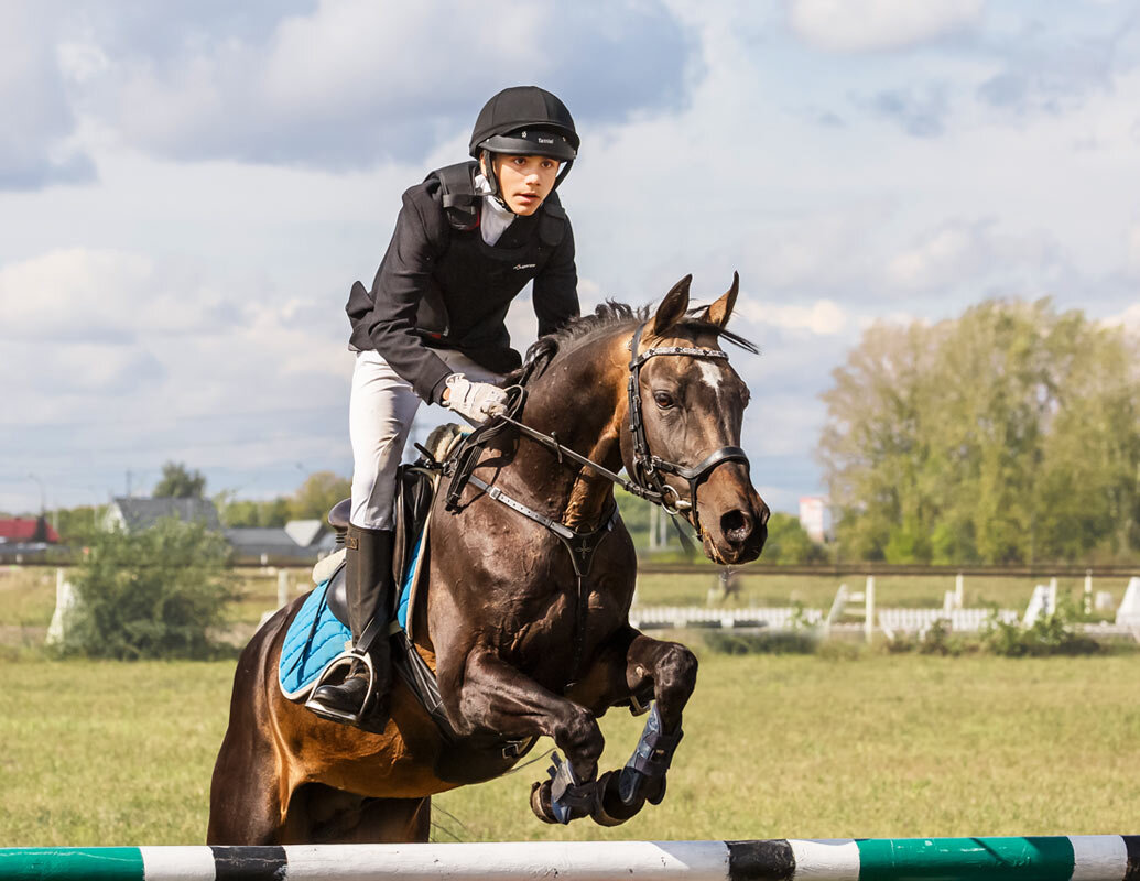 Конкур - SanSan 