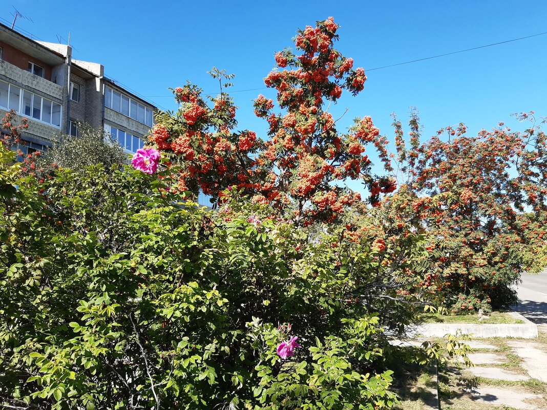 В городе осенью - Галина Минчук В городе осенью - Галина Минчук