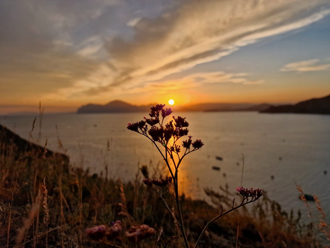 Солнечная дорожка над морем - Мария Яковлева Солнечная дорожка над морем - Мария Яковлева
