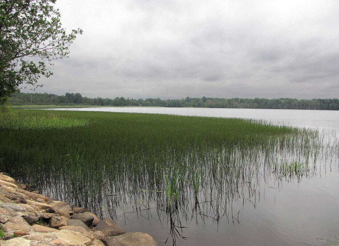 Дымское (Святое) озеро - Александр Ильчевский 
