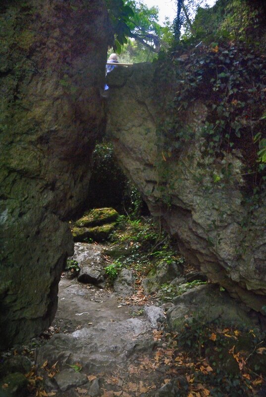 Теснина - Марина Виноградова