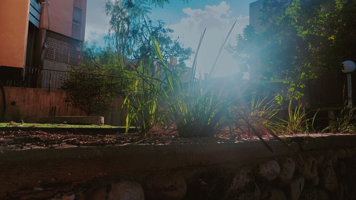 13  ОПЕН (338) - OPEN WAYS ALL