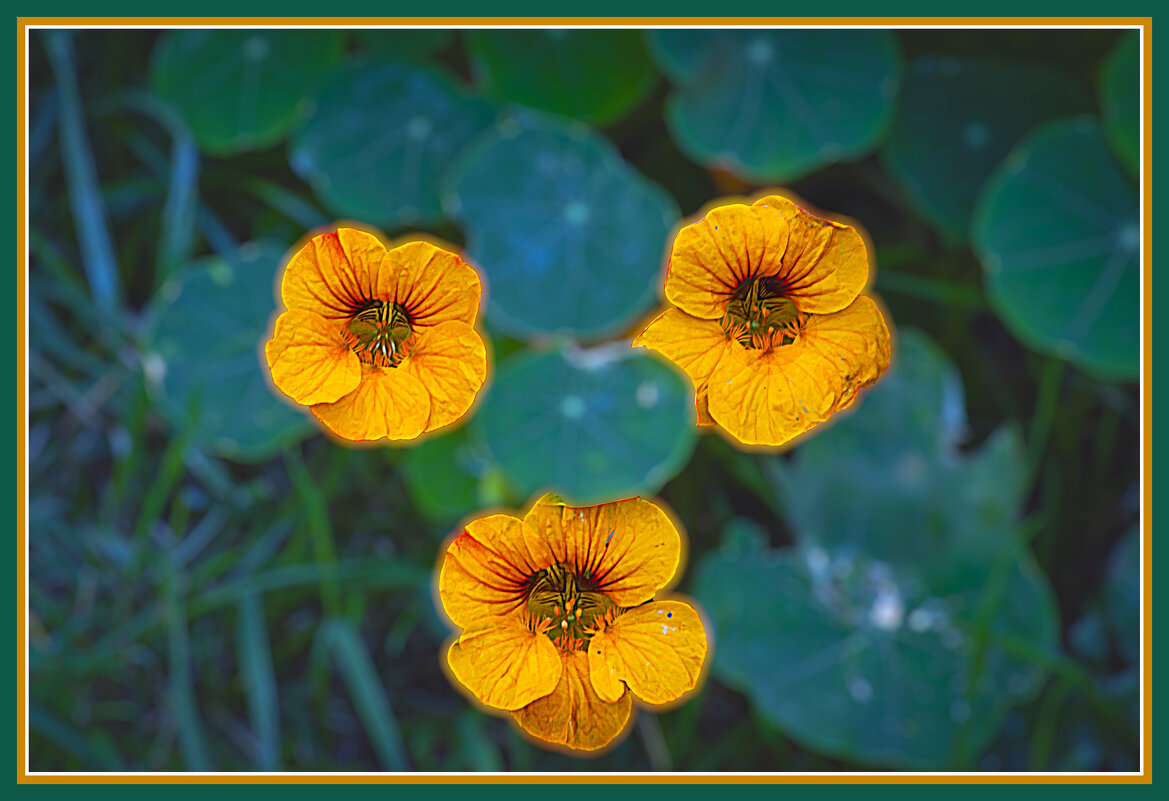 Тройка - Владимир Кроливец