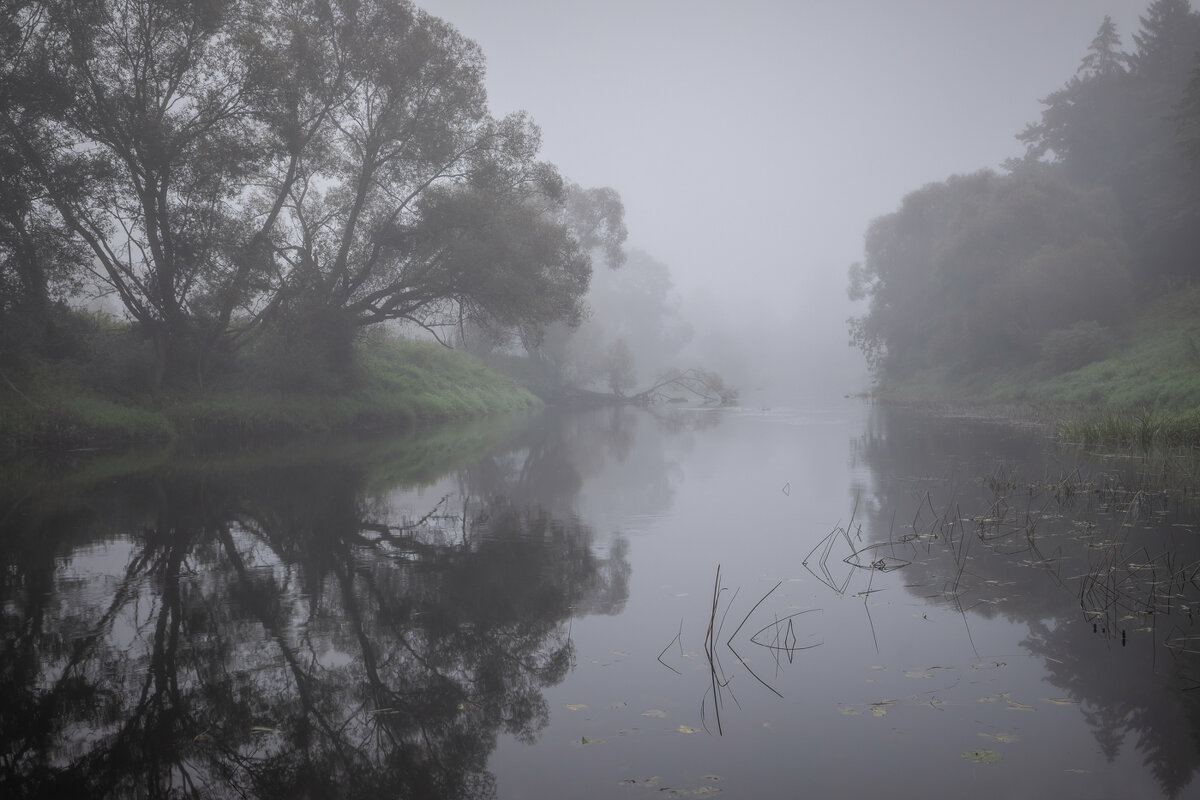 **** - Елизавета .