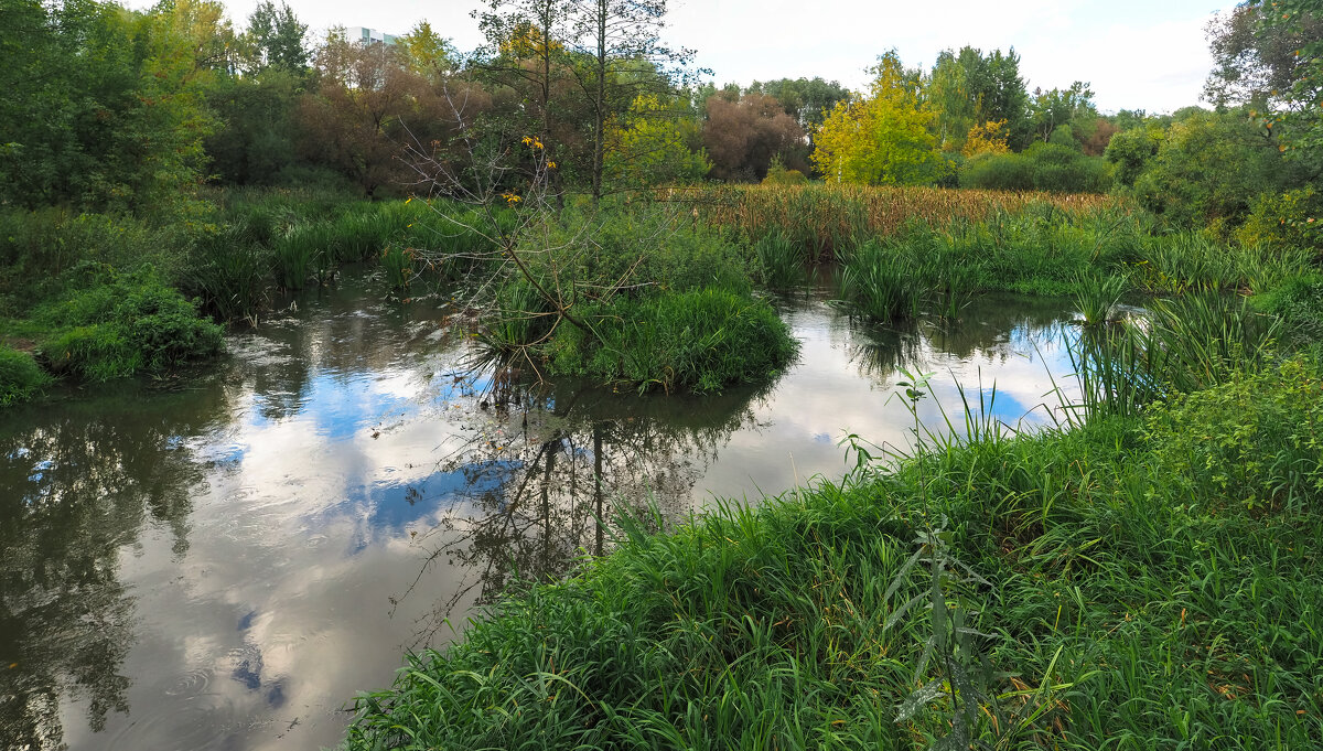 ***** - юрий поляков