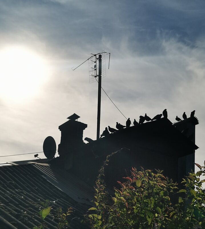 Когда практически все в сборе. - Любимова Ольга 