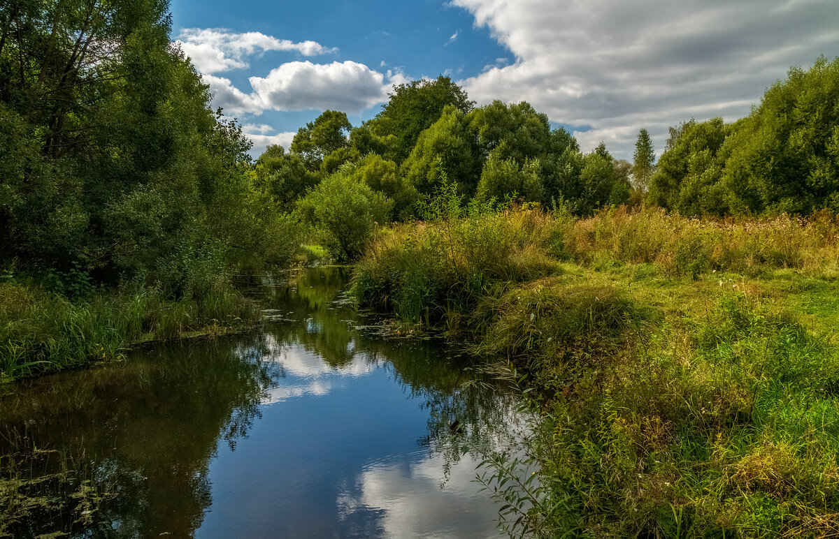 Осень она не спросит 12 - Андрей Дворников