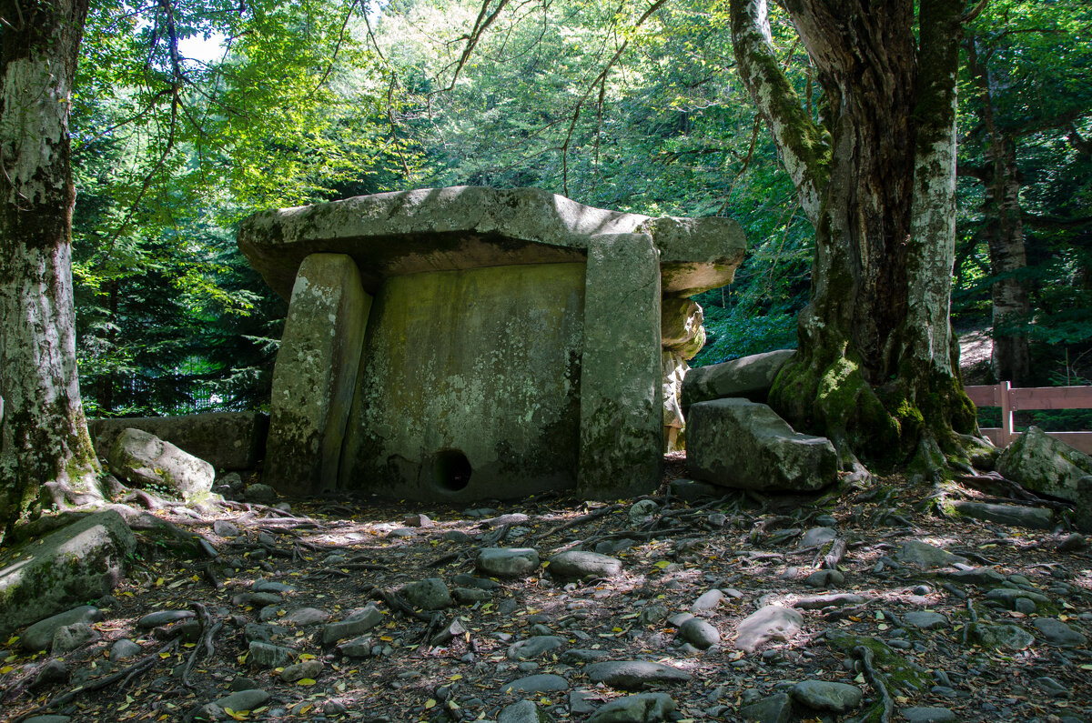 Дальмен - Давид Манакьян