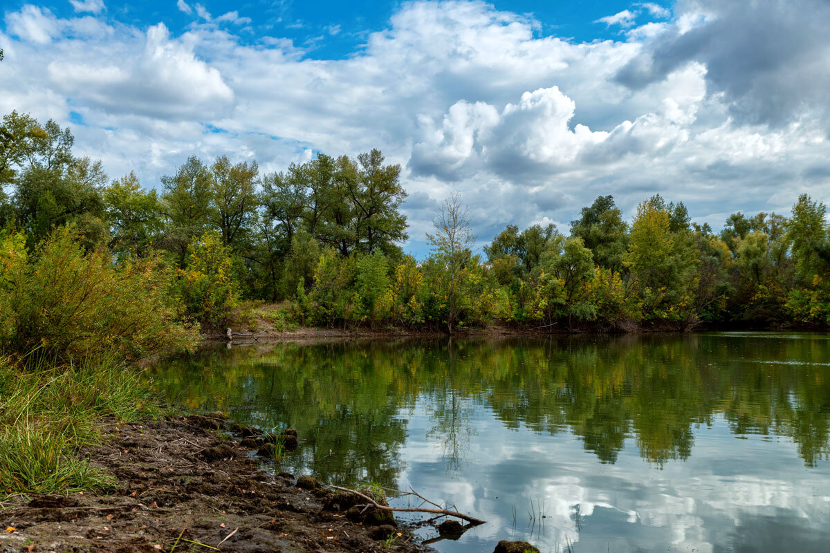Природный парк Волго-Ахтубинская пойма. - Дина Евсеева