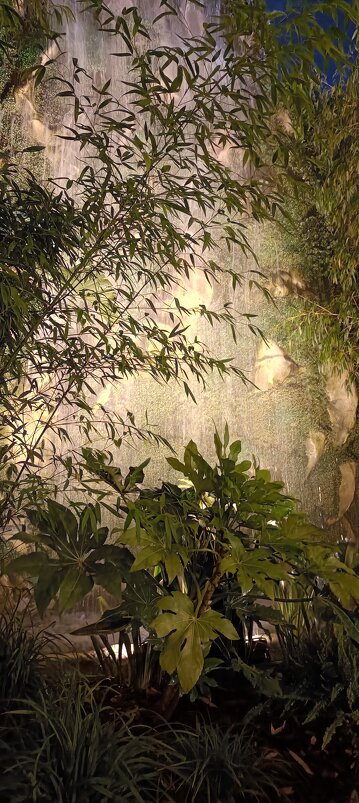 ночной водопад на Манежной - Галина R...