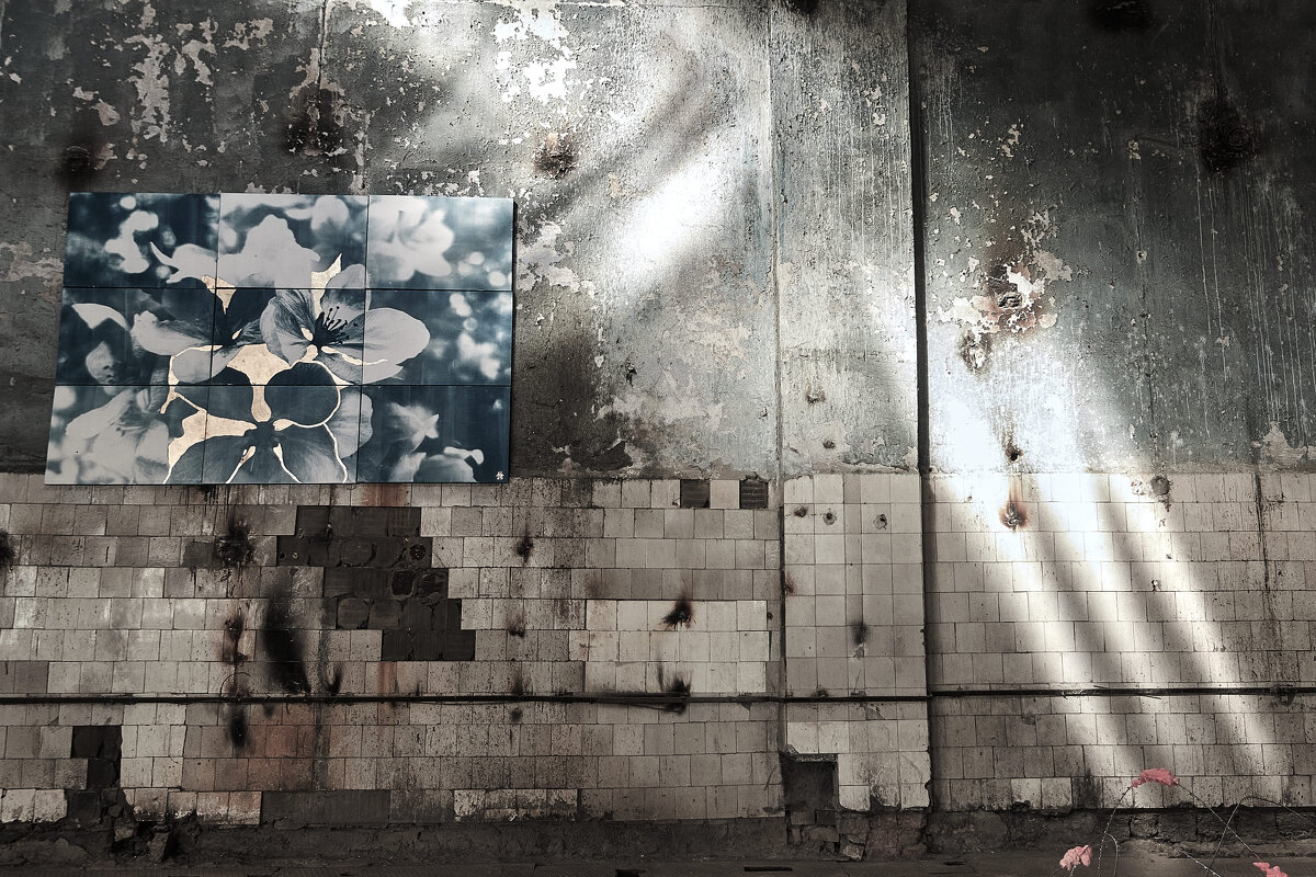 выставка Сибирская Готика на ьывшей фабрике Лимонной кислоты - Дарья Сай-Скай 