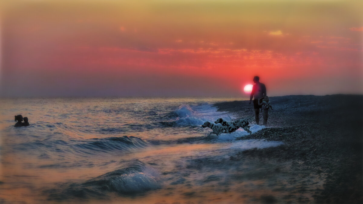 Даже собаки ездят отдыхать на море... - AZ east3