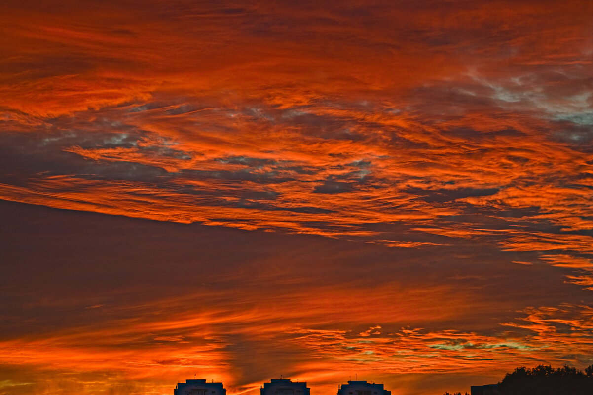 Заря - Giant Tao /