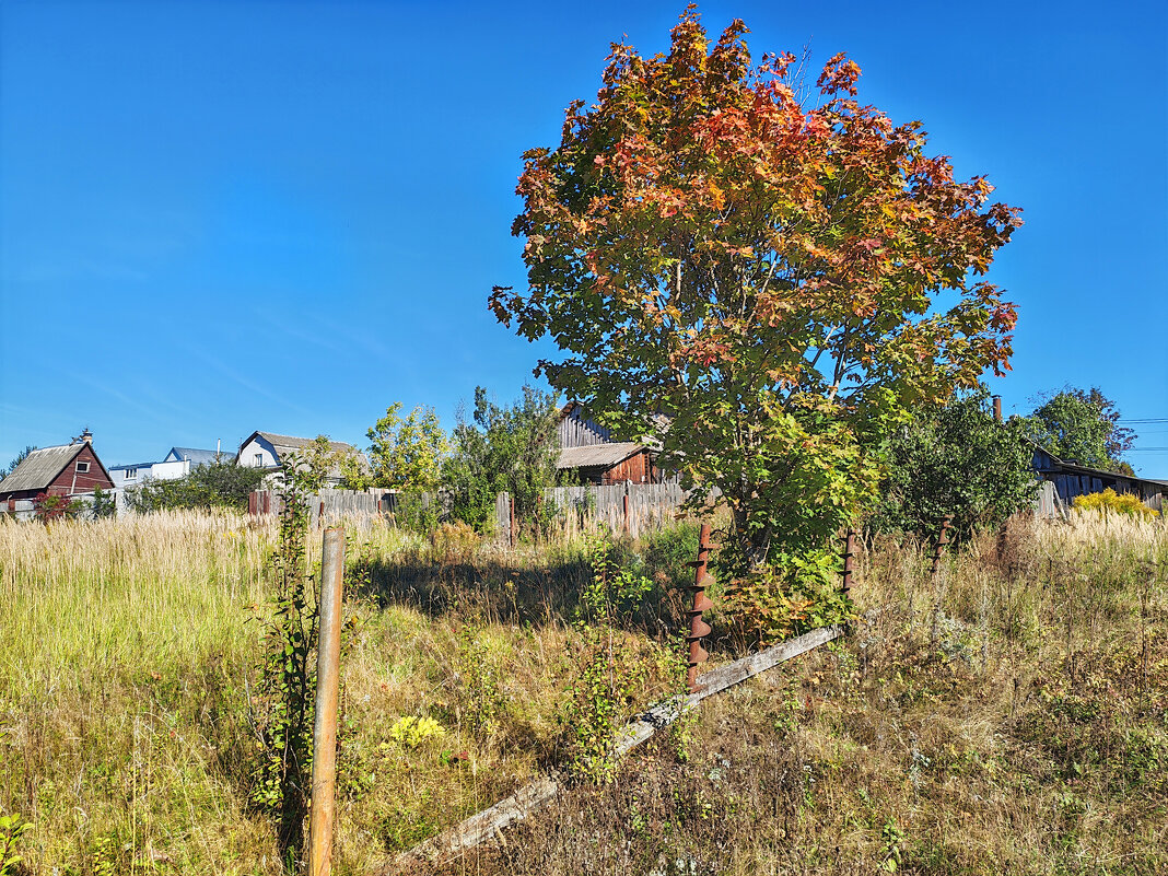 Деревня Курбатово - Денис Бочкарёв