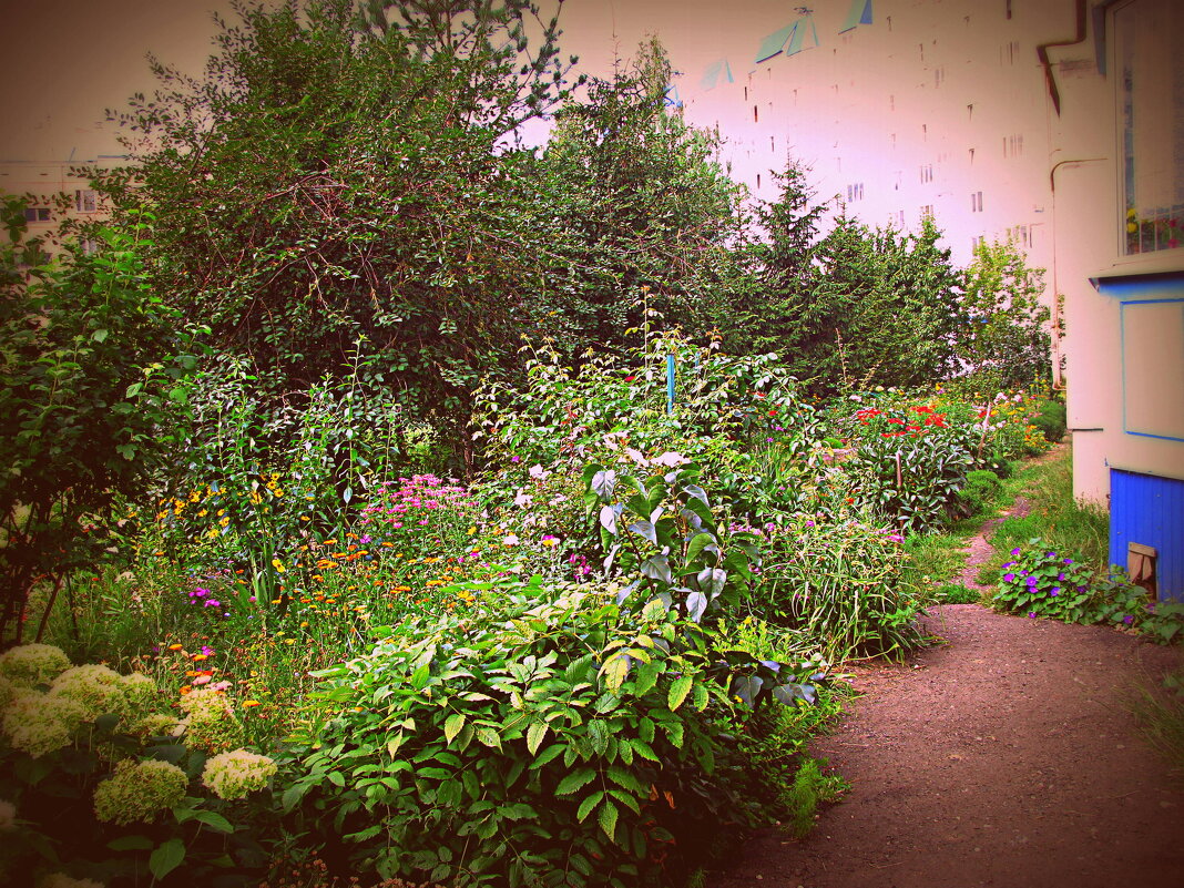 Цветы. - Владимир Драгунский