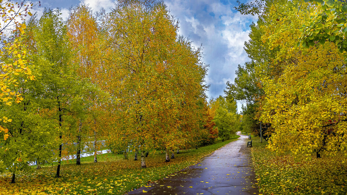 Парк Северное Бутово - Aleksey Afonin Парк Северное Бутово - Aleksey Afonin