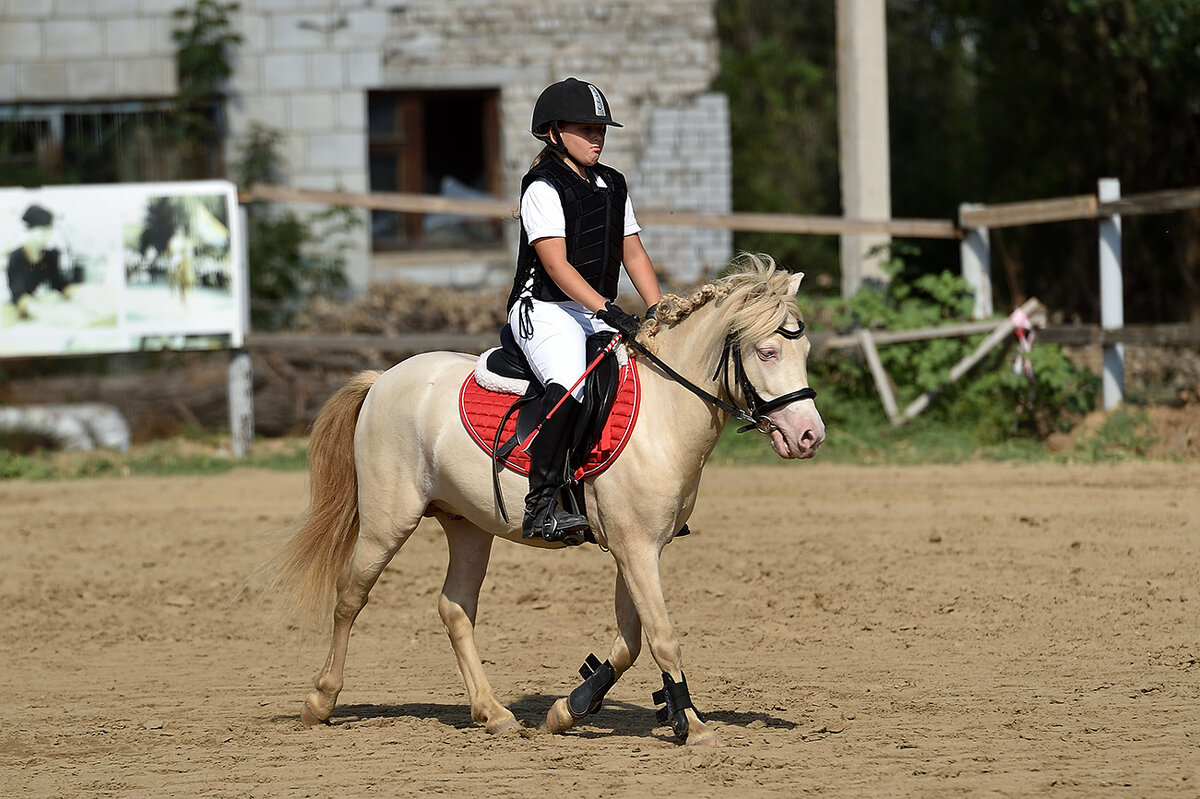 ...маленькие - Александр Гриднев