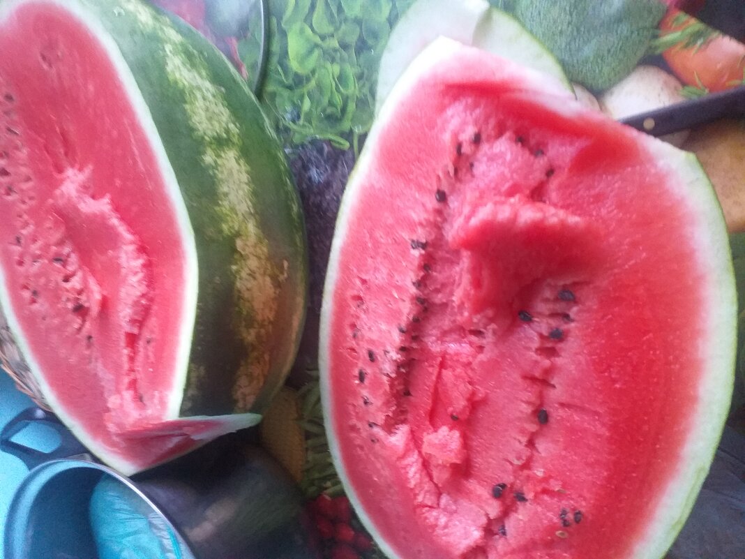 повезло, хороший! из магазина... - Галина Флора повезло, хороший! из магазина... - Галина Флора