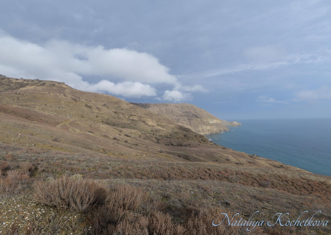 Природа Крыма - Amazing Cosmea