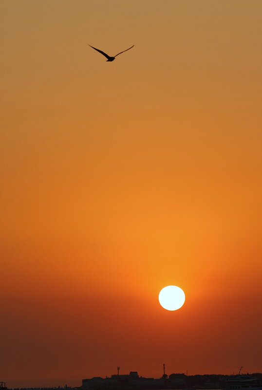 К солнцу. - Александр Кондаков