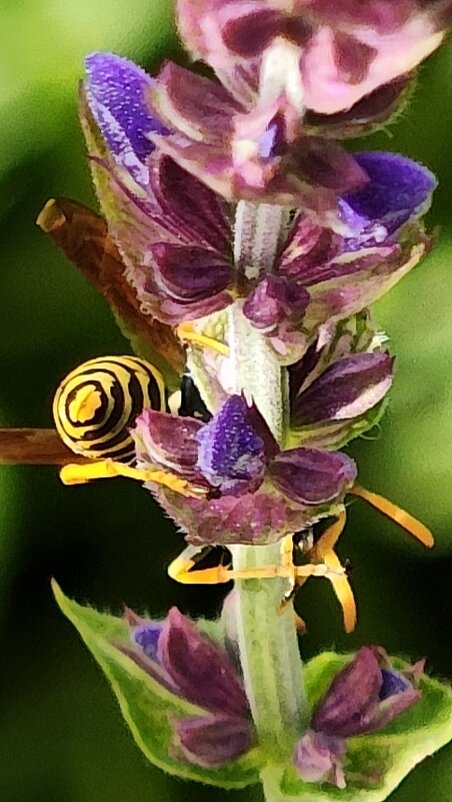 Вниз головой, кверху попой - Наталия 