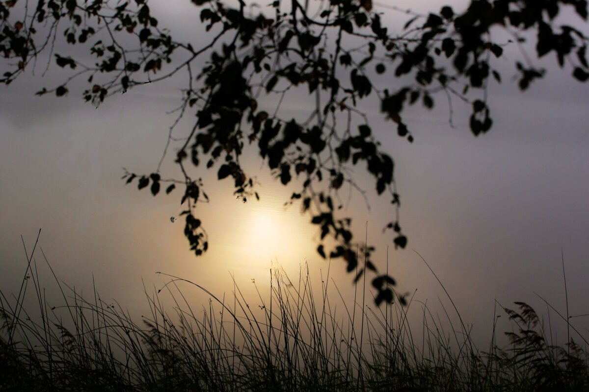 Час солнца - liudmila drake Час солнца - liudmila drake