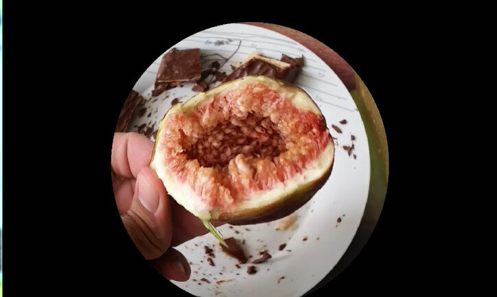 113 (102) - CLOSE WAYS ALL