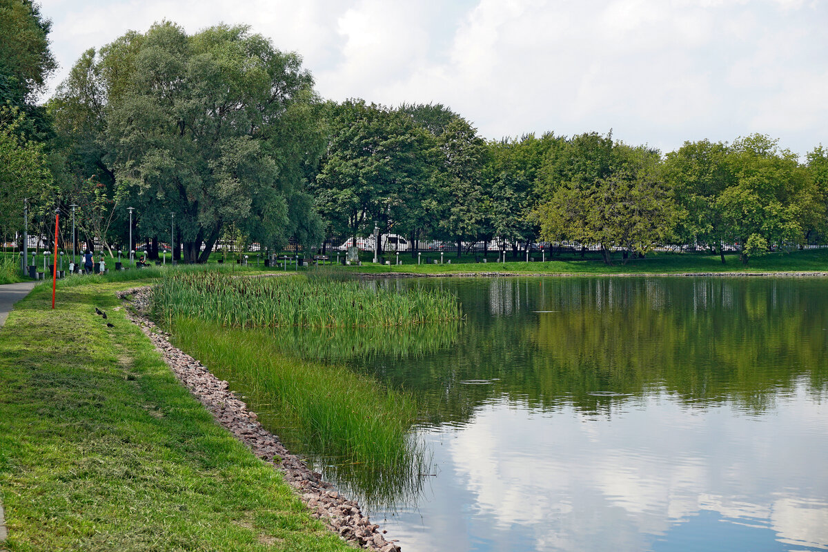 Пруд Садки - Игорь Белоногов