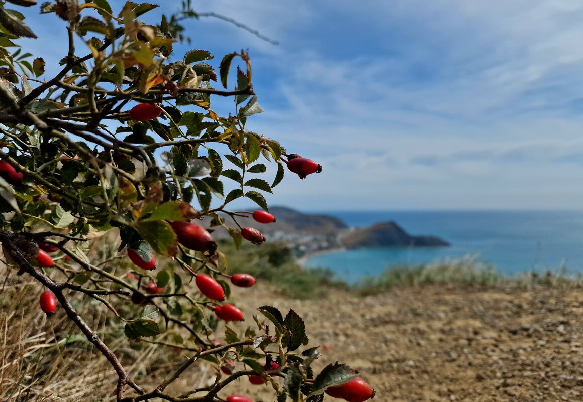 Крым - Мария Яковлева