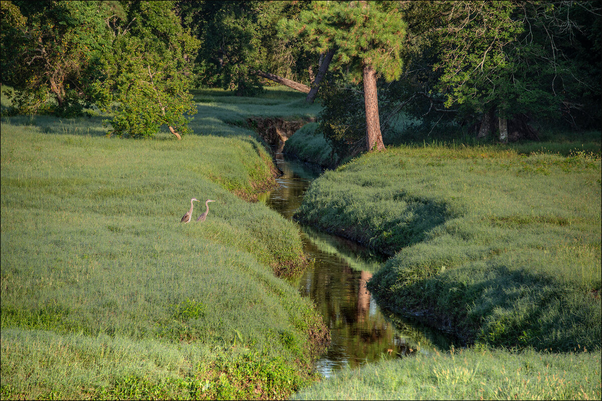 Утро - **** vedin